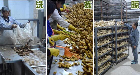 不用硫磺如何清洗生姜？